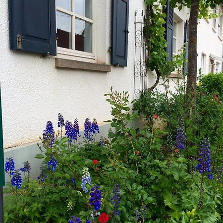 Seelig'S Weinsheim (Bad Kreuznach) Exterior foto
